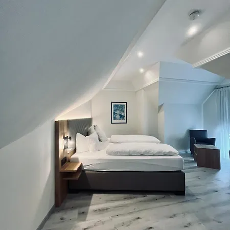 Hotel Hotel-restaurant Zum Schwanen