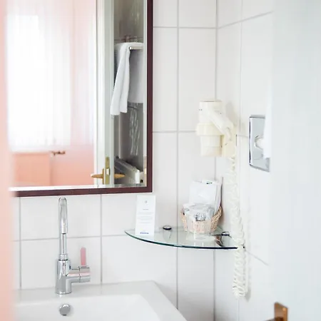 Hotel-restaurant Zum Schwanen Hotel 3*