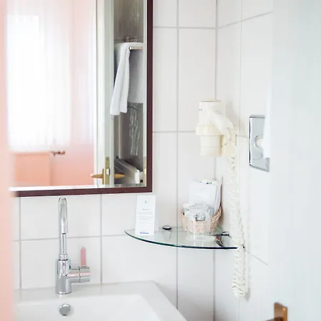 Hotel-restaurant Zum Schwanen Hotel