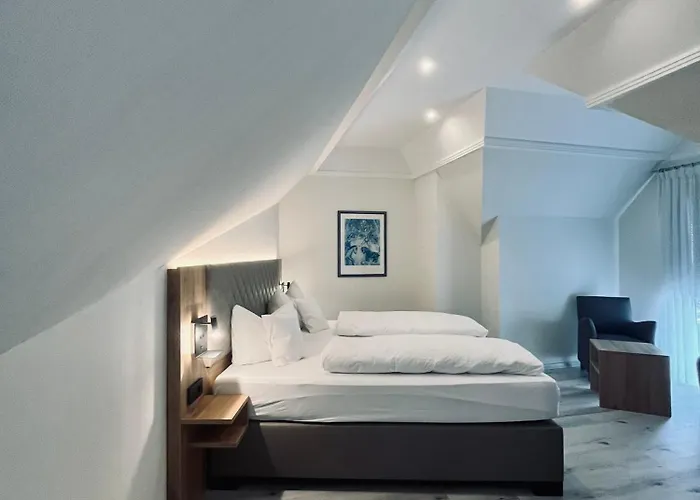 Hotel Hotel-restaurant Zum Schwanen