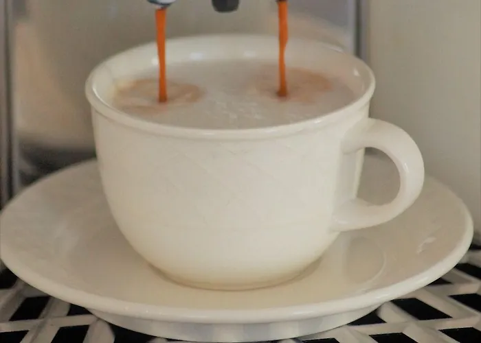 Hotel Hotel-restaurant Zum Schwanen