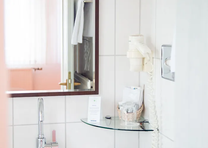 Hotel-restaurant Zum Schwanen Hotel