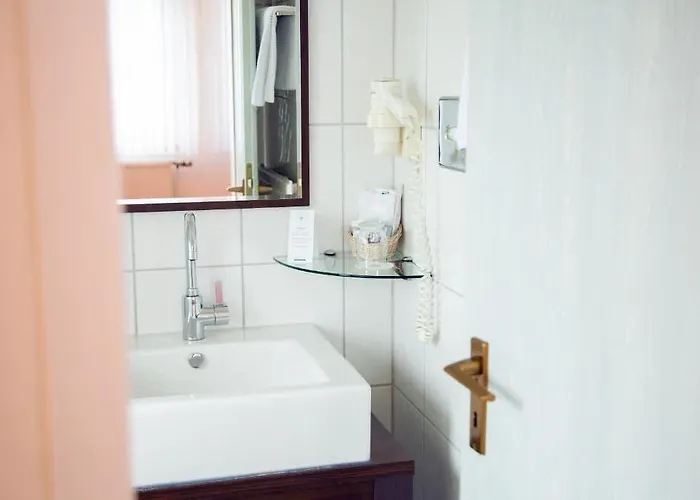 Hotel-restaurant Zum Schwanen 3*