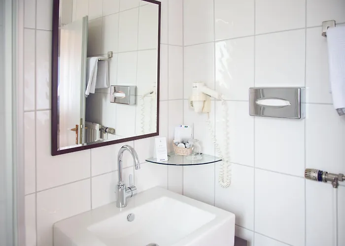 Hotel-restaurant Zum Schwanen Hotel